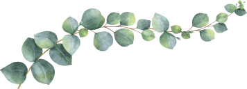 leaves image