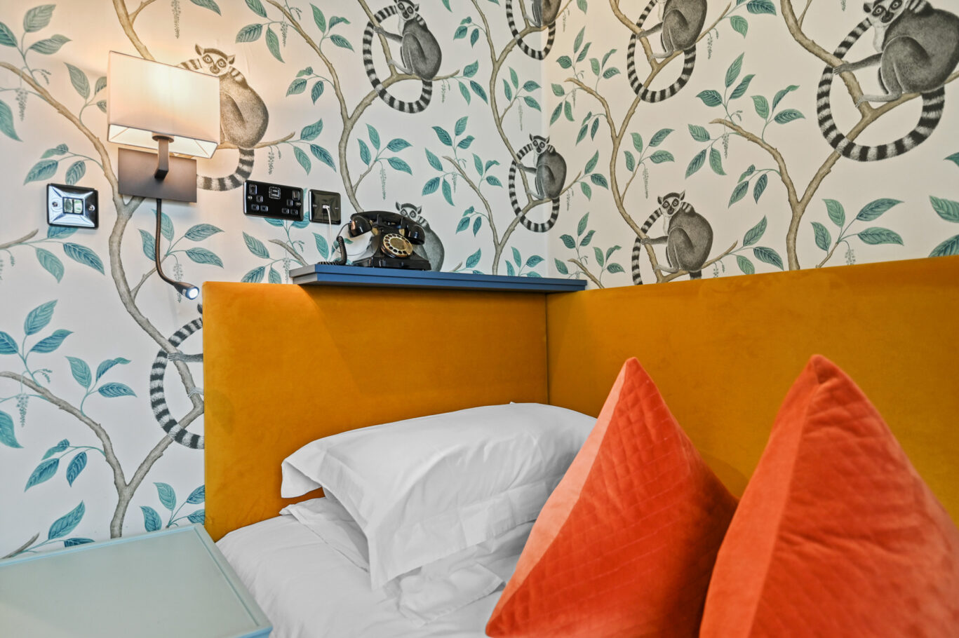 Room 23 – D1 (1)